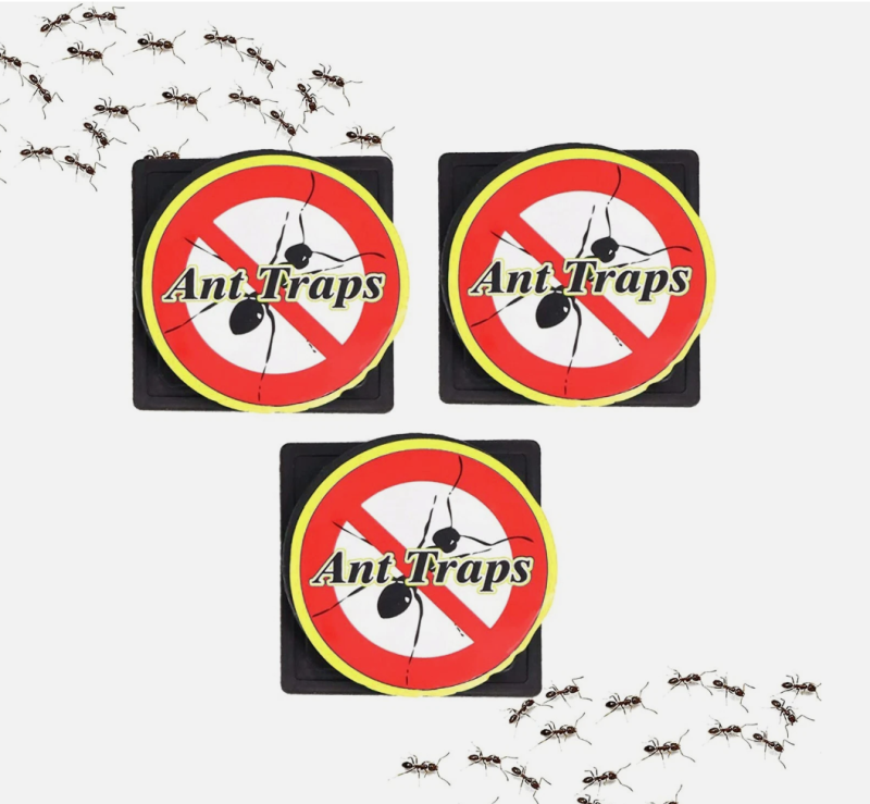 3pk Ant trap Bait Station Pre Baited Ants Traps indoor outdoor Kill Destroy - Image 3